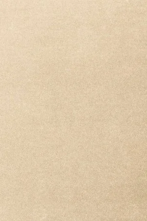 Ковровое покрытие AW Oinone 34 - (5м) в Перми