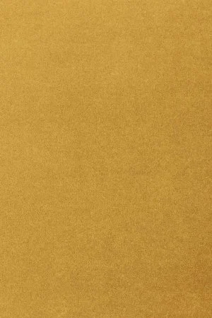 Ковровое покрытие AW Oinone 54 - (4м) в Перми