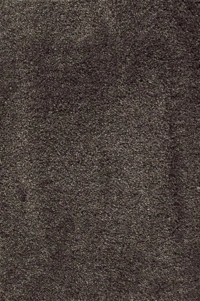 Ковровое покрытие AW Fedone 44 - (5м) в Перми