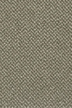 Ковровое покрытие AW Stainaway Tweed 24 - (4м) в Перми