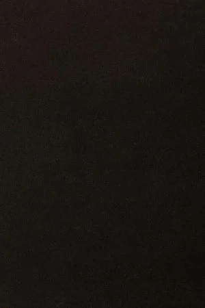 Ковровое покрытие AW Oinone 99 - (4м) в Перми