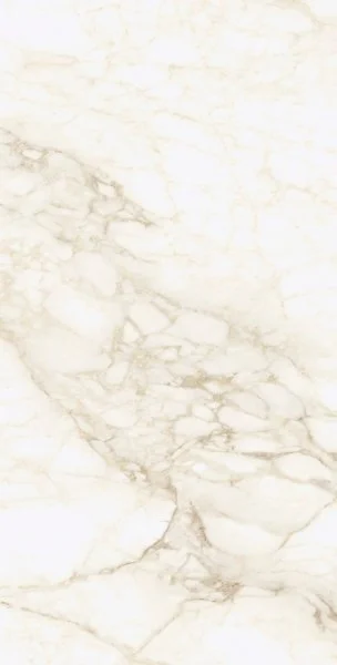 Керамогранит Coliseum Микеланджело Ворм 60х120 (Натуральный и Реттифицированный) в Перми