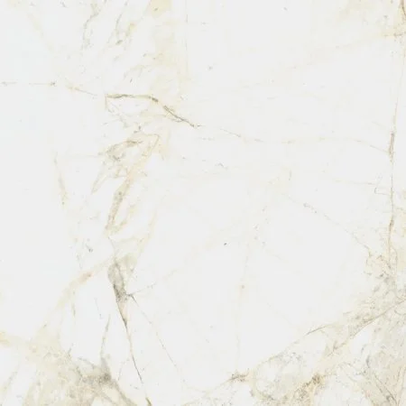 Керамогранит Coliseum Канова Уайт 60х60 (Натуральный и Реттифицированный) в Перми