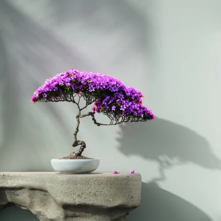 Обои Loymina Lotus LOT1 112 в Перми