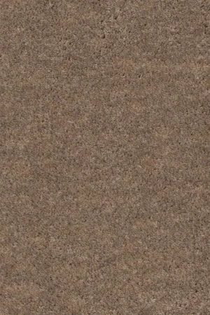 Ковровое покрытие AW Euphoria 36 - (4м) в Перми