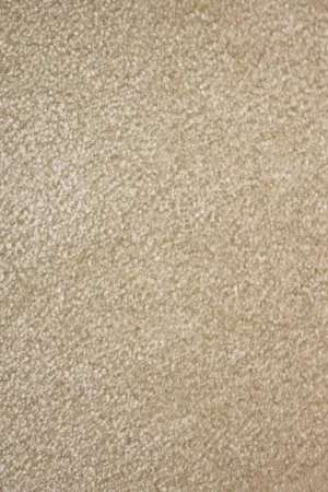 Ковровое покрытие AW Euphoria 33 - (5м) в Перми