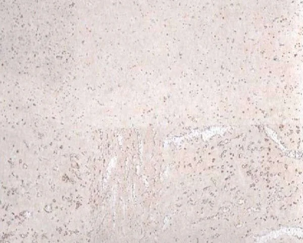 Настенное пробковое покрытие CorkArt PW 386 WS в Перми