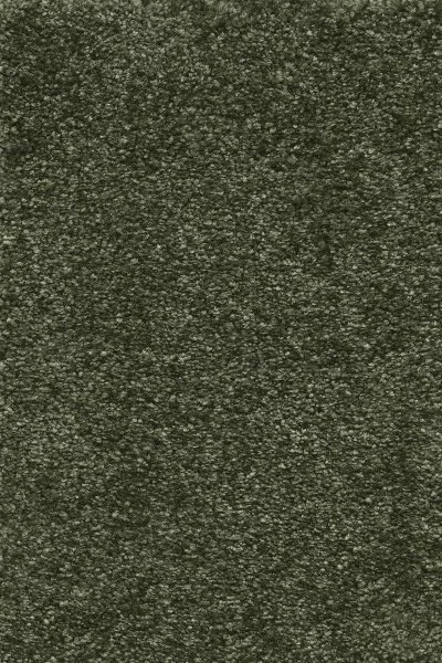 Ковровое покрытие AW Certosa 24 - (4м) в Перми