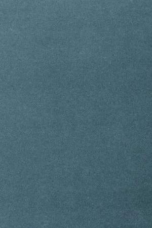 Ковровое покрытие AW Oinone 74 - (4м) в Перми