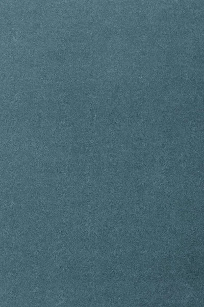 Ковровое покрытие AW Oinone 74 - (5м) в Перми