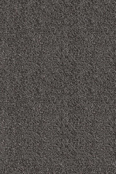 Ковровое покрытие AW Messalina 99 - (5м) в Перми