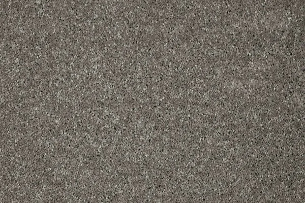 Ковровое покрытие AW Gala 94 - (5м) в Перми