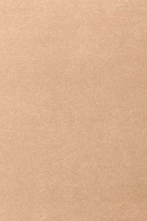 Ковровое покрытие AW Oinone 08 - (5м) в Перми