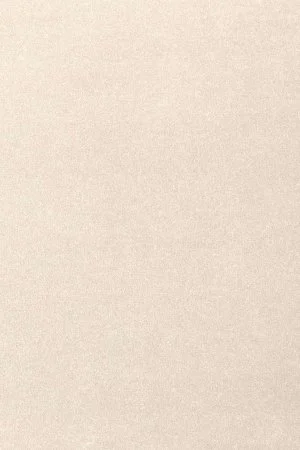 Ковровое покрытие AW Oinone 03 - (4м) в Перми