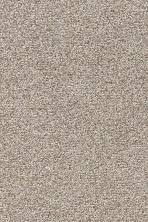 Ковровое покрытие AW Stainguard Harvest 04 - (4м) в Перми