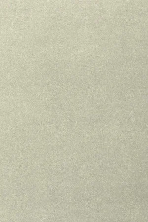 Ковровое покрытие AW Oinone 02 - (5м) в Перми