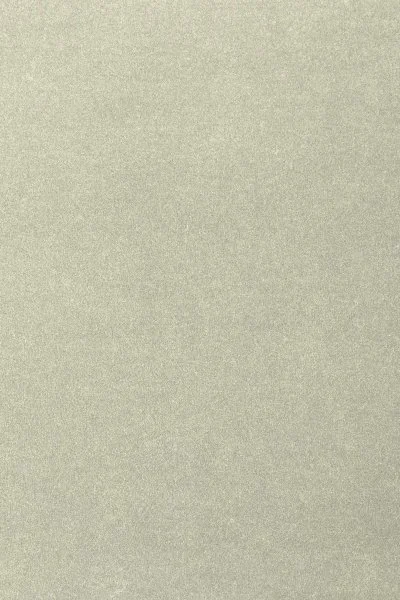 Ковровое покрытие AW Oinone 02 - (4м) в Перми