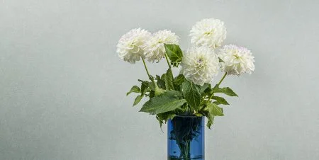 Обои Loymina Shade vol.2 SDR5, 001 в Перми