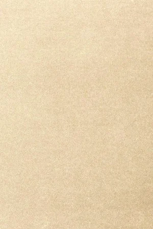 Ковровое покрытие AW Oinone 33 - (4м) в Перми