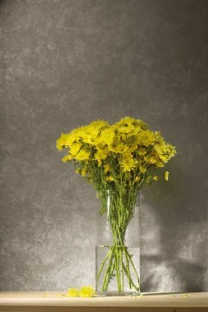 Обои Loymina Golden Library TDG 7, 008 в Перми