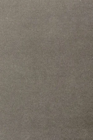 Ковровое покрытие AW Oinone 95 - (4м) в Перми