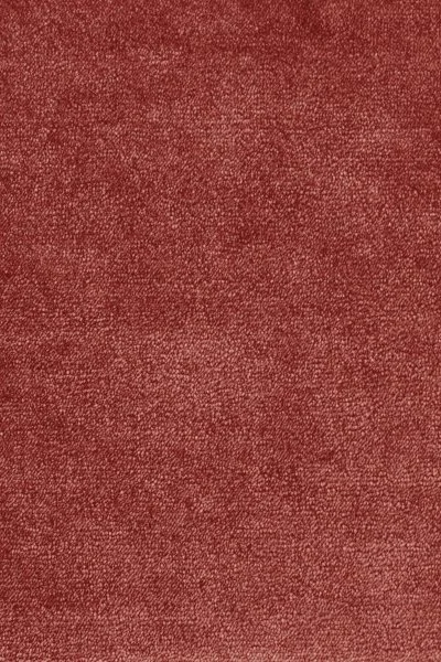 Ковровое покрытие AW Omphale 10 - (5м) в Перми