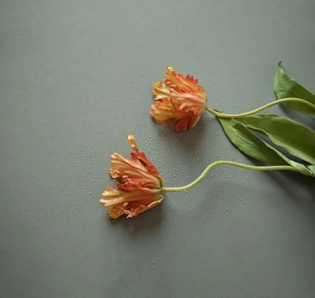 Обои Loymina Russian Classic Ru10, 006 в Перми