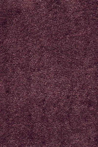 Ковровое покрытие AW Fedone 19 - (5м) в Перми