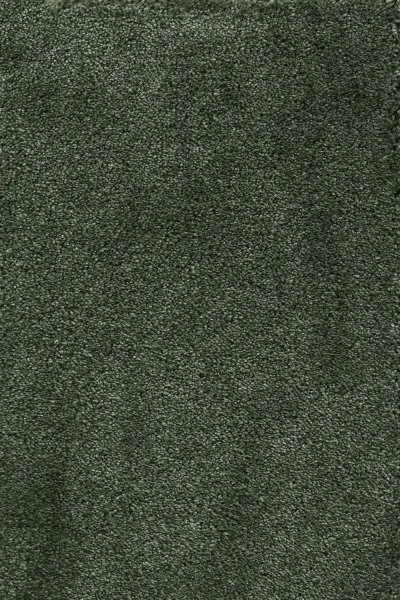 Ковровое покрытие AW Fedone 24 - (5м) в Перми