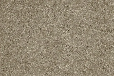 Ковровое покрытие AW Gala 33 - (5м) в Перми