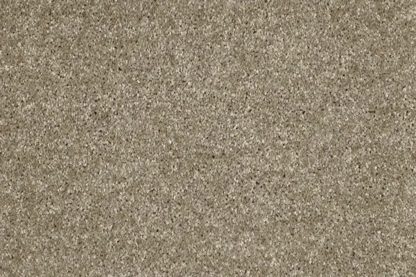 Ковровое покрытие AW Gala 33 - (4м) в Перми