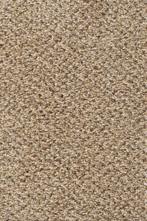 Ковровое покрытие AW Stainaway Tweed 50 - (4м) в Перми