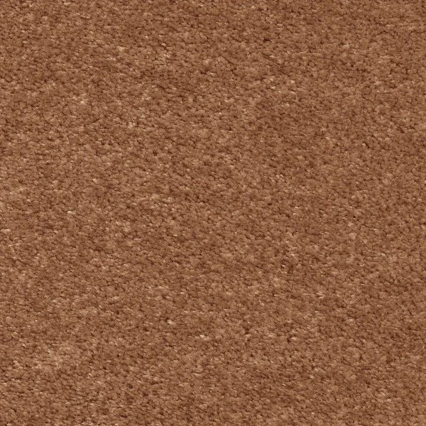 Ковровое покрытие AW Euphoria 84 - (5м) в Перми