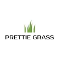 Искусственная трава Prettie Grass купить в Перми по выгодной цене Искусственная трава Prettie Grass в Перми