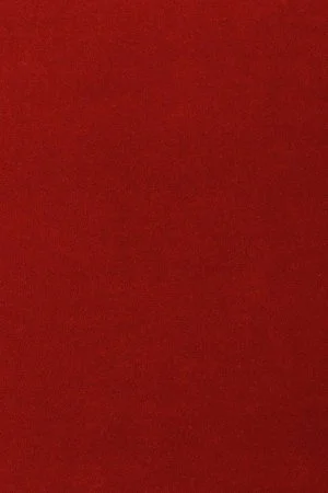 Ковровое покрытие AW Oinone 10 - (5м) в Перми