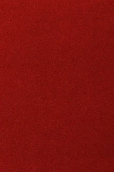 Ковровое покрытие AW Oinone 10 - (5м) в Перми