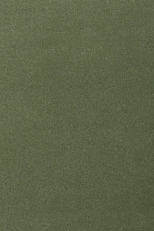 Ковровое покрытие AW Oinone 24 - (4м) в Перми