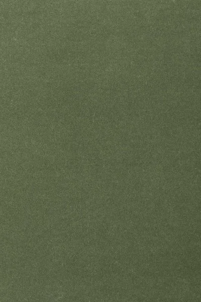 Ковровое покрытие AW Oinone 24 - (4м) в Перми