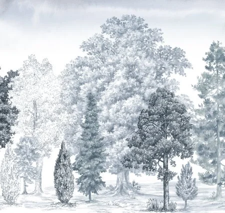 Обои Loymina Пейзаж vol. 2 ART14 006 в Перми