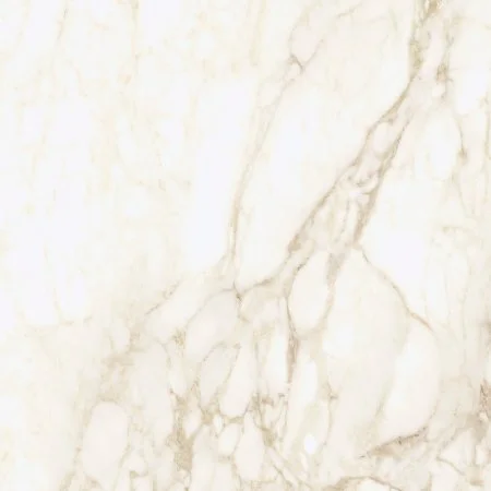 Керамогранит Coliseum Микеланджело Ворм 60х60 (Натуральный и Реттифицированный) в Перми