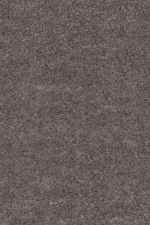 Ковровое покрытие AW Euphoria 45 - (5м) в Перми