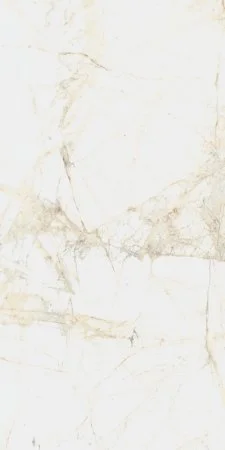 Керамогранит Coliseum Канова Уайт 60х120 (Натуральный и Реттифицированный) в Перми