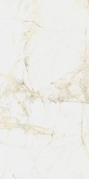 Керамогранит Coliseum Канова Уайт 60х120 (Натуральный и Реттифицированный) в Перми