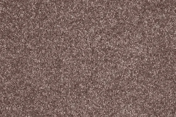 Ковровое покрытие AW Gala 60 - (5м) в Перми